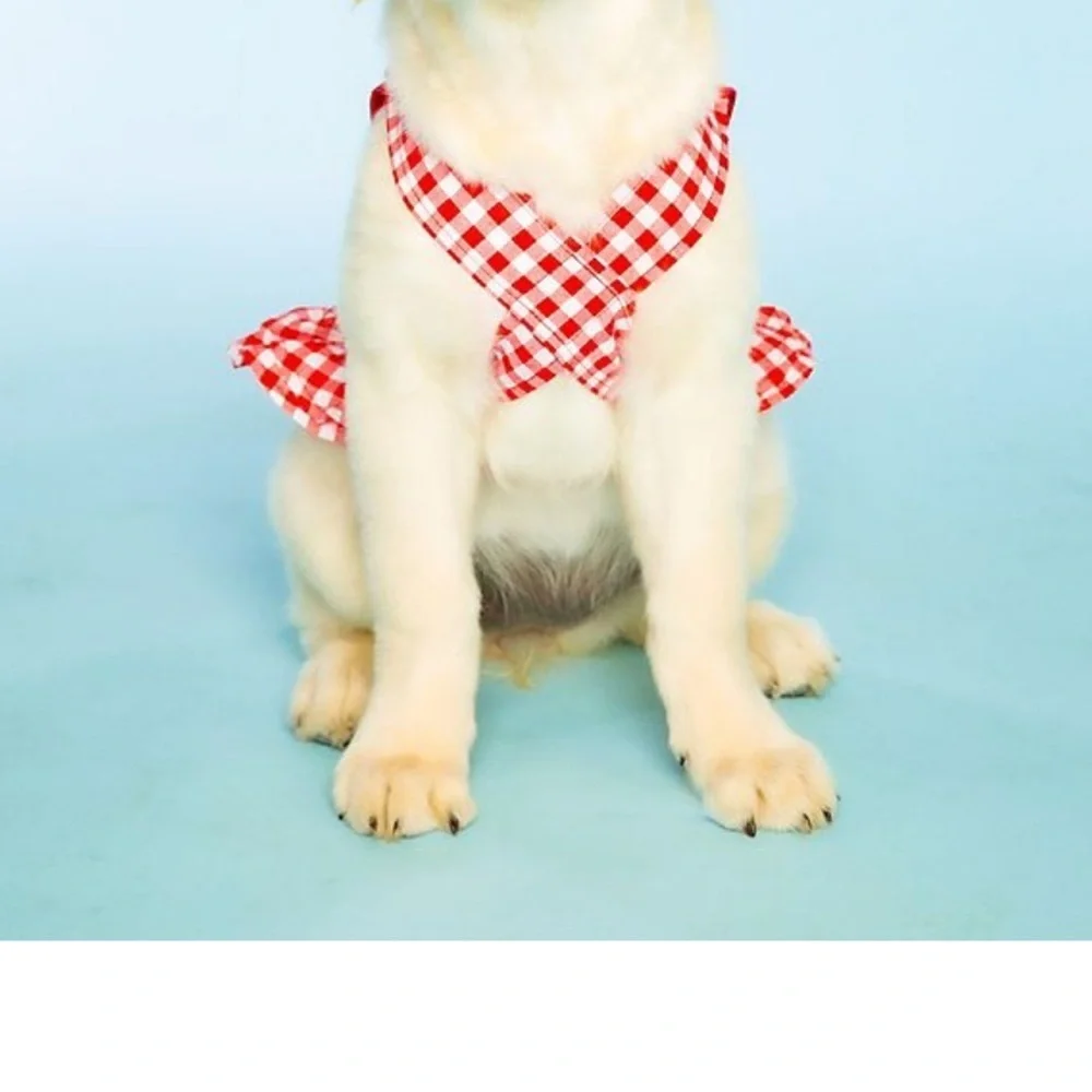 NWT Doggy Parton Red Gingham Overalls Dress Sz: Large 2 & XXL: 1